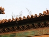 beijing_20-10-12_109