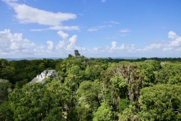 Tikal - 23