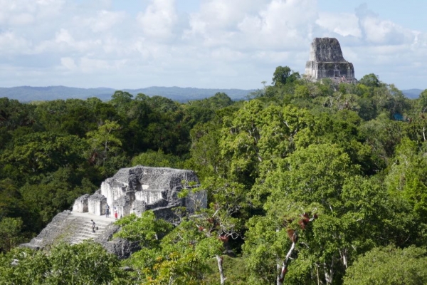 Tikal - 25