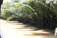 Mekong Delta 2011