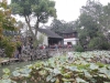 shanghai_25-10-12_022