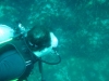 image0248206232635376423566