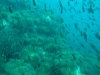image0268499716962006624899