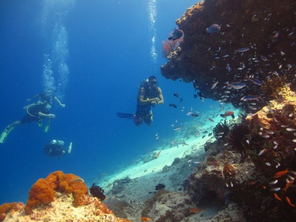 Korallenriffe bei Gili Trawangan